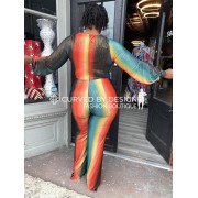 Rainbow Sheemy Jumpsuit